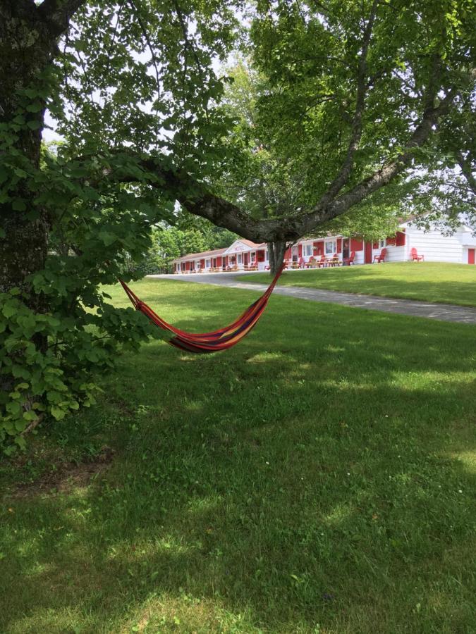 Webbers Lake Charlotte Motel Queen And Double Bed Exteriör bild