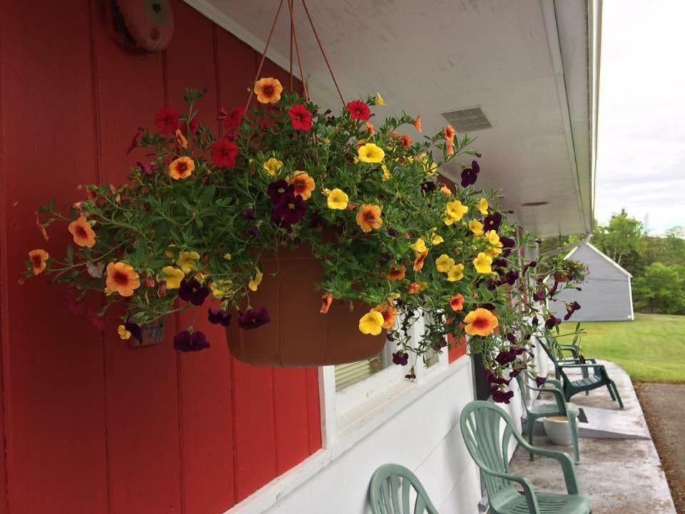 Webbers Lake Charlotte Motel Queen And Double Bed Exteriör bild